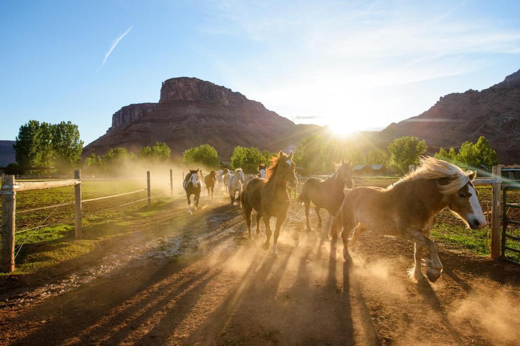 Sorrel River Ranch Resort & Spa Moab Eksteriør bilde